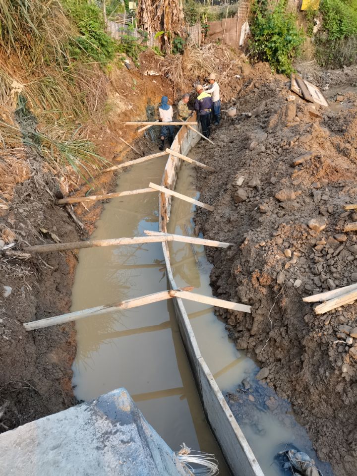 ���̰���